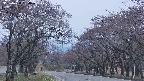 takano2-20250428184030.jpg