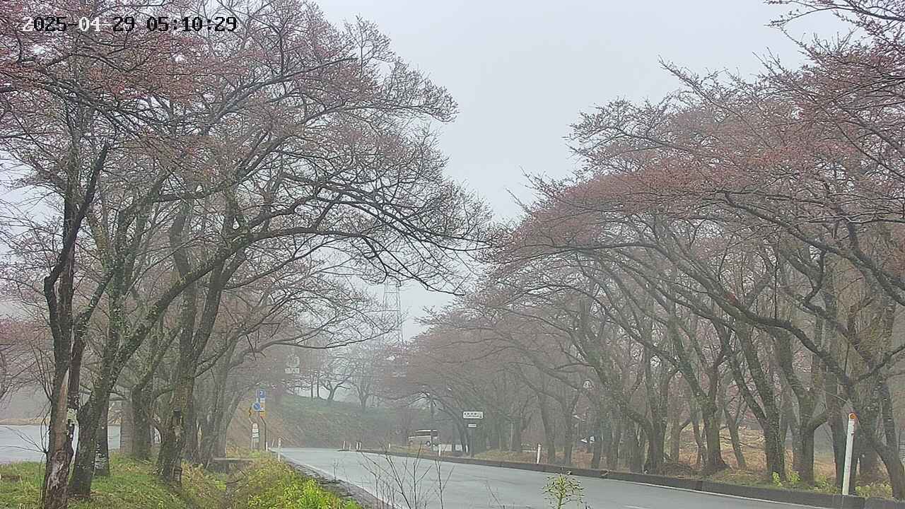 takano2-20250429051030.jpg