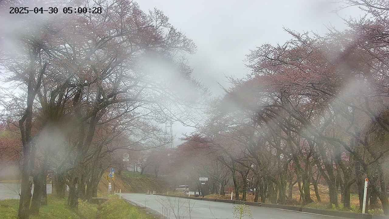 takano2-20250430050029.jpg