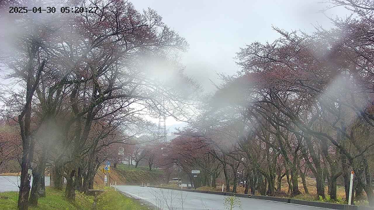 takano2-20250430052029.jpg