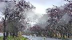 takano2-20250430053029.jpg