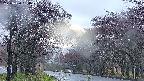 takano2-20250430054029.jpg