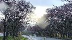 takano2-20250430055030.jpg