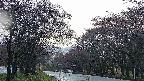 takano2-20250430061030.jpg
