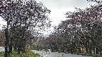 takano2-20250430063031.jpg