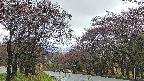 takano2-20250430064030.jpg