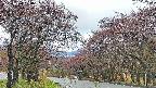 takano2-20250430070032.jpg
