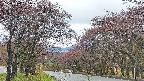 takano2-20250430071030.jpg