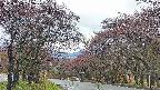 takano2-20250430072029.jpg