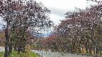 takano2-20250430073030.jpg