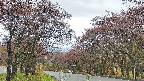takano2-20250430075030.jpg