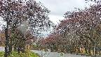 takano2-20250430080030.jpg