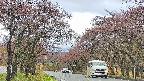 takano2-20250430082030.jpg