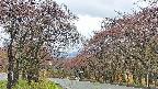 takano2-20250430083032.jpg