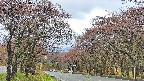 takano2-20250430084031.jpg