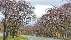takano2-20250430085031.jpg