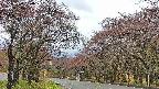 takano2-20250430090032.jpg