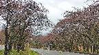 takano2-20250430091030.jpg