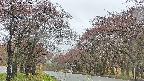 takano2-20250430092036.jpg