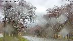 takano2-20250430100028.jpg