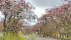 takano2-20250430103031.jpg