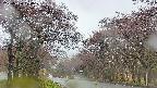 takano2-20250430104030.jpg