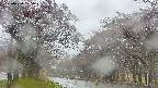 takano2-20250430105030.jpg