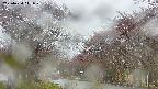 takano2-20250430111030.jpg