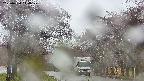 takano2-20250430114030.jpg
