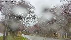 takano2-20250430115030.jpg
