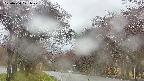 takano2-20250430121031.jpg