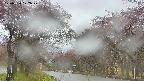 takano2-20250430122030.jpg