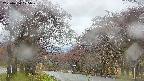 takano2-20250430125030.jpg