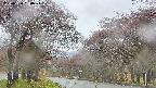 takano2-20250430130029.jpg