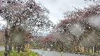 takano2-20250430131030.jpg