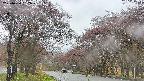 takano2-20250430132030.jpg