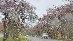 takano2-20250430133030.jpg