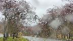 takano2-20250430135030.jpg