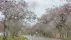 takano2-20250430141031.jpg