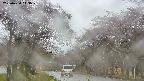 takano2-20250430143030.jpg