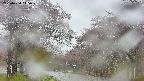 takano2-20250430145031.jpg