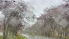 takano2-20250430150031.jpg