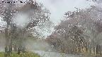 takano2-20250430153030.jpg