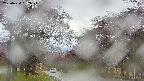 takano2-20250430162029.jpg