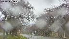 takano2-20250430164030.jpg