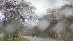 takano2-20250430170030.jpg