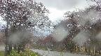 takano2-20250430171031.jpg
