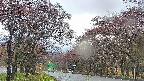 takano2-20250430174031.jpg