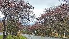 takano2-20250430175032.jpg