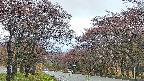 takano2-20250430180029.jpg